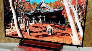 SONY 4K液晶テレビ KJ-49X7000D 中古テレビ買取★