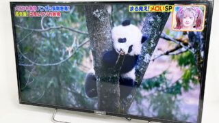 テレビ買取 【SONY 液晶テレビ KJ-40W730C】｜福岡の買取ならデジックス！